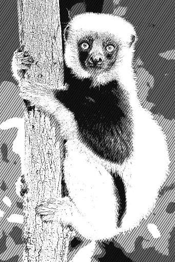 Cartoon Photo Art screenshot 4