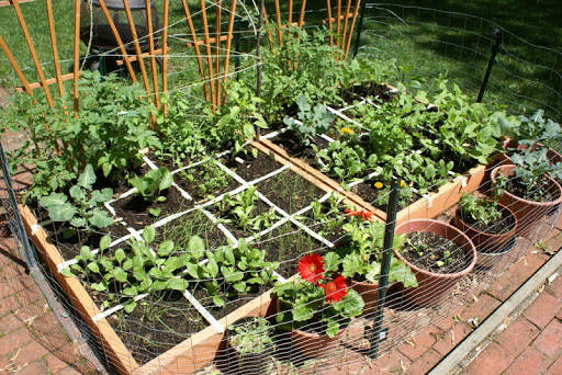 Vegetable Garden Ideas скриншот 3