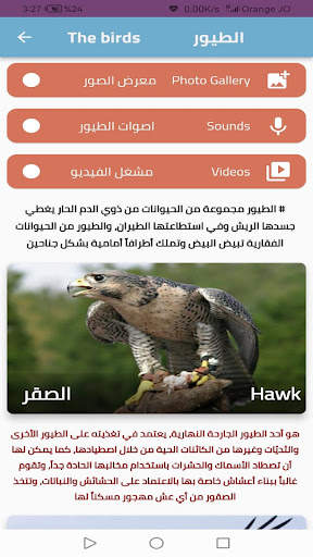 Animal world screenshot 2