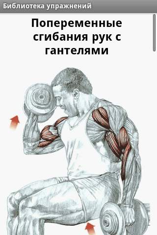 Упражнения для зала скриншот 2