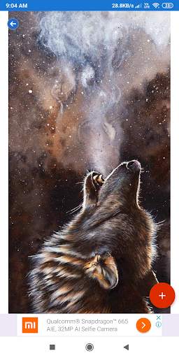 Fox Wallpaper: HD images, Free Pics download screenshot 7