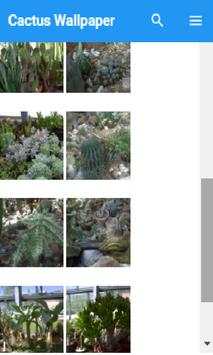 Cactus Wallpaper screenshot 4