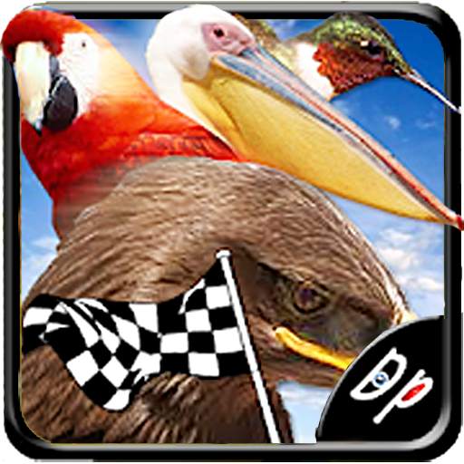 Bird Race 3D 2.0