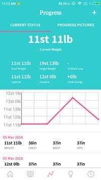 Fit with Vfit screenshot 4