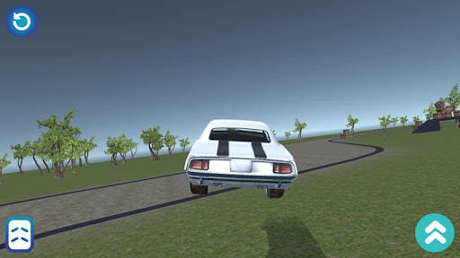 Acrobat Rally screenshot 3