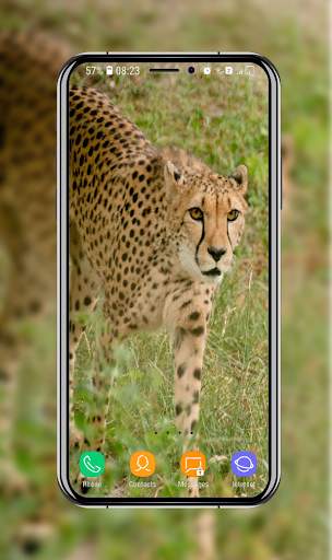 New Cheetah Wallpapers screenshot 15