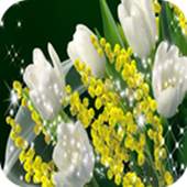 3D Flower Backround Wallpapers 1.0.11