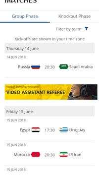 FIFA WC 2018 screenshot 3