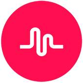 TikTok Lite 2.4