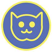 NetCat : The Summarized Web 1