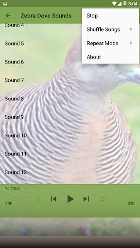 Bird Sounds : Zebra Dove screenshot 2