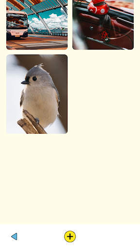 Lemon Browser screenshot 3