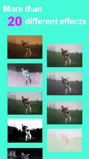 Trình chỉnh sửa hình ảnh screenshot 7
