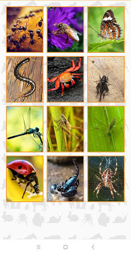 Animal Puzzle Game screenshot 3