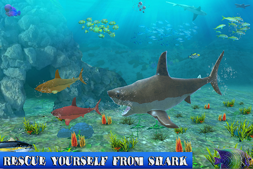Big Shark Vs Small Sharks screenshot 3