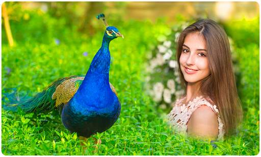 Peacock Photo Frames screenshot 6