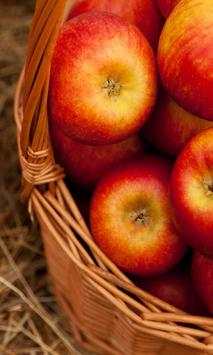 Apples Autumn live wallpaper screenshot 1