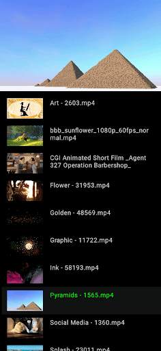 Next Video Player screenshot 2