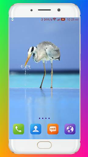 Bird Wallpaper HD screenshot 11
