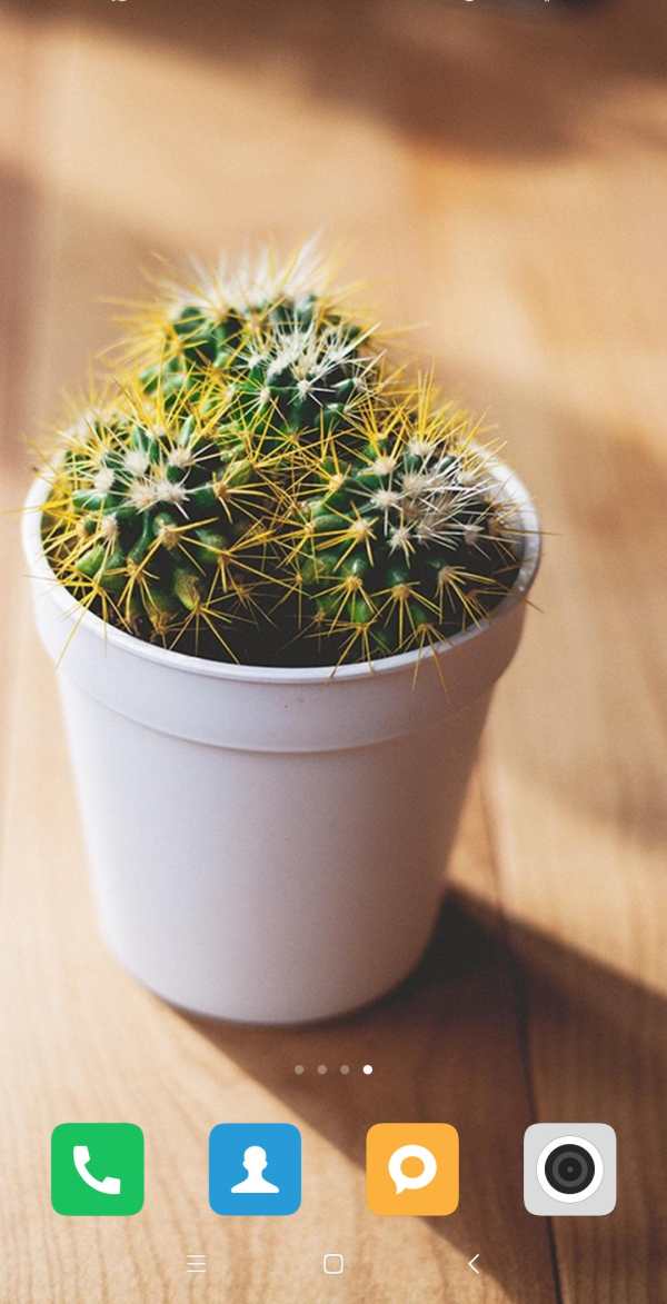 Cactus Wallpaper screenshot 9