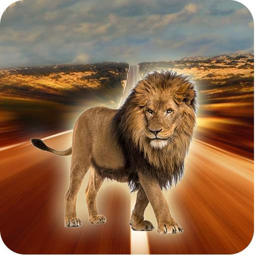 Lion Wallpapers HD 1.0.3