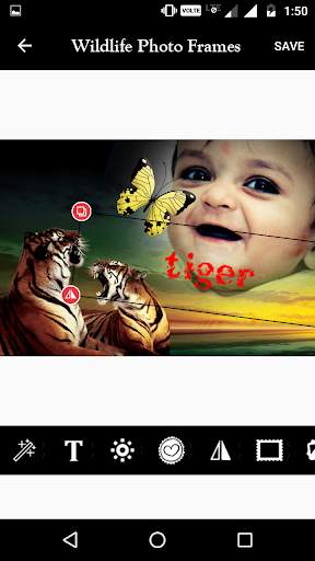 Wildlife Photo Frame screenshot 5