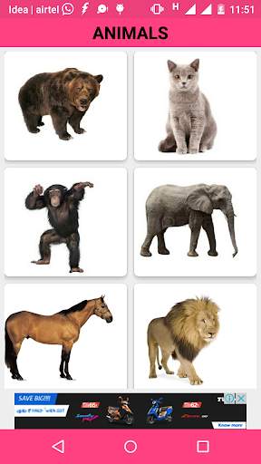 Animals and Birds Sounds screenshot 2