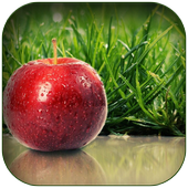 Apple Wallpaper icon