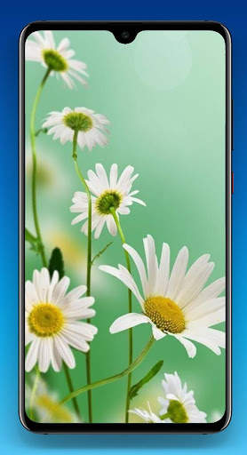 Beautiful Flower Wallpaper HD screenshot 6