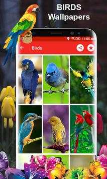 Birds HD Photo Frames and Live Wallpapers screenshot 10
