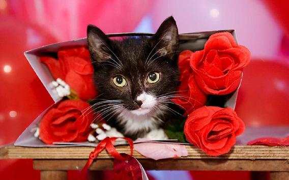 Valentine Kitty live wallpaper screenshot 4