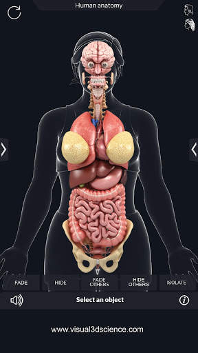 Organs Anatomy Pro. screenshot 5