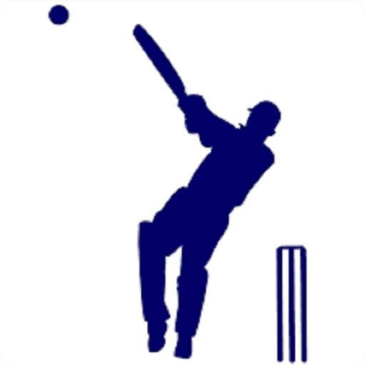 IPL 2019 IPL news. IPL table IPL game Status  2019 1.0