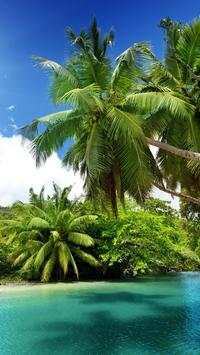 Tropical Beach HD Wallpaper screenshot 16