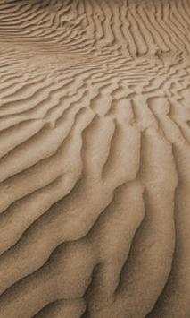 Brown wallpapers screenshot 4