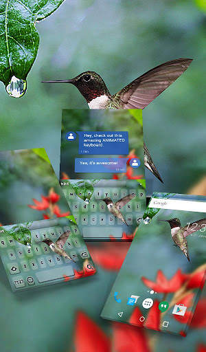 Colibri Live Wallpaper Theme screenshot 1