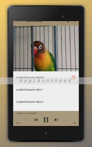 Kicau Burung Terlengkap screenshot 13
