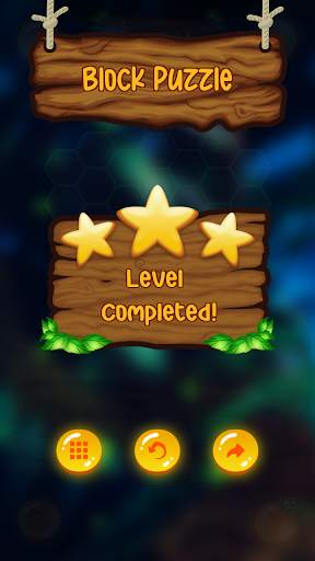 Block Puzzle - Hexa! Block Puzzle screenshot 8