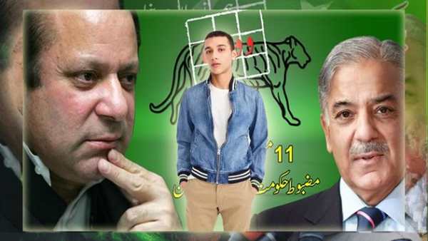 PMLN Banner Creator - PMLN Flex Photo Editor 2018 screenshot 5