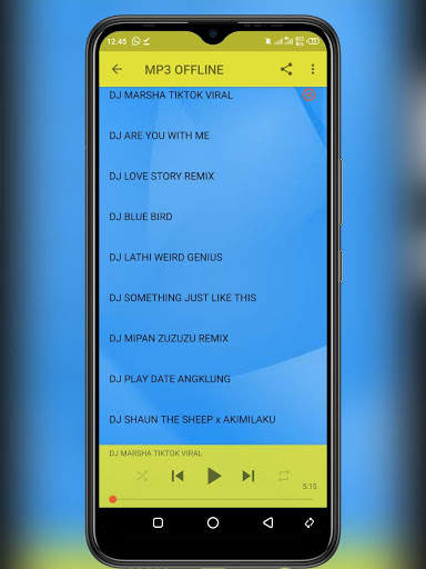 DJ MARSHA TIKTOK VIRAL screenshot 3