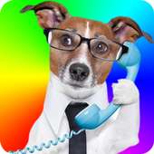 Change Voice During Call: Free icon