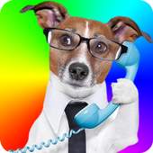 Change Voice During Call: Free 1.4