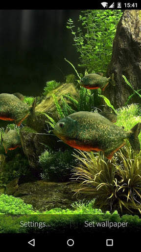 3D Fish Aquarium Wallpaper HD screenshot 5