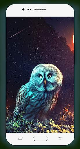 Owl Wallpaper HD screenshot 4