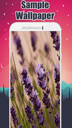 Lavender Wallpaper - Flower Wallpaper screenshot 2