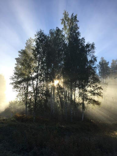 Sweden Wallpaper Travel screenshot 16