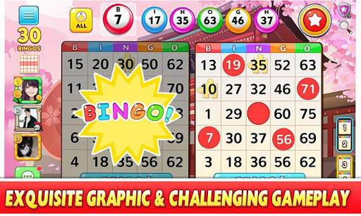 Bingo Win screenshot 7