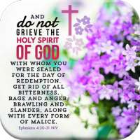 Best Inspirational Bible Quotes on 9Apps