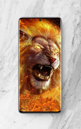 Fire Wallpaper Offline screenshot 8