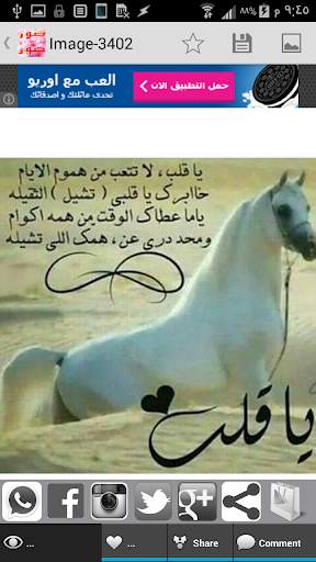 صور منوعة x صور متجددة screenshot 5